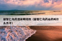 益智仁乌药泡水喝功效（益智仁乌药山药叫什么方子）