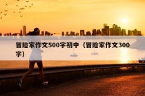 冒险家作文500字初中（冒险家作文300字）