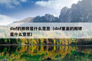 dnf的搬砖是什么意思（dnf里面的搬砖是什么意思）