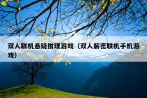 双人联机悬疑推理游戏（双人解密联机手机游戏）