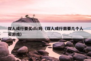 双人成行要买dlc吗（双人成行需要几个人买游戏）