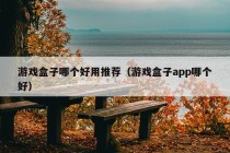 游戏盒子哪个好用推荐（游戏盒子app哪个好）