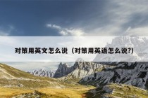 对策用英文怎么说（对策用英语怎么说?）