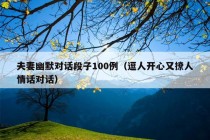 夫妻幽默对话段子100例（逗人开心又撩人情话对话）