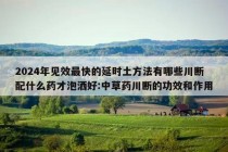 2024年见效最快的延时土方法有哪些川断配什么药才泡洒好:中草药川断的功效和作用