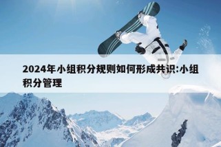 2024年小组积分规则如何形成共识:小组积分管理