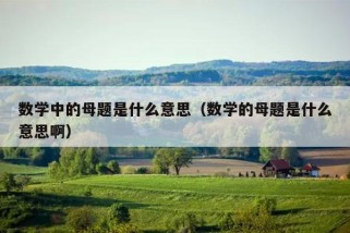 数学中的母题是什么意思（数学的母题是什么意思啊）