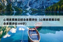 心理素质展示综合素质评价（心理素质展示综合素质评价300字）