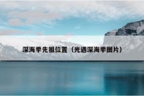 深海季先祖位置（光遇深海季图片）