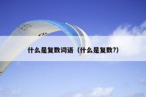 什么是复数词语（什么是复数?）