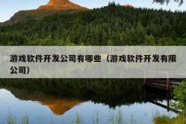 游戏软件开发公司有哪些（游戏软件开发有限公司）