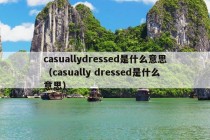 casuallydressed是什么意思（casually dressed是什么意思）