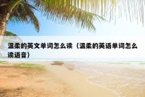 温柔的英文单词怎么读（温柔的英语单词怎么读语音）