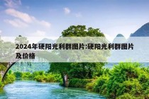 2024年硬阳光利群图片:硬阳光利群图片及价格