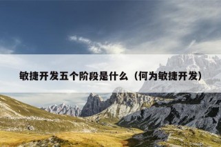 敏捷开发五个阶段是什么（何为敏捷开发）