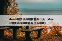 steam射击训练模拟器叫什么（steam射击训练模拟器叫什么游戏）