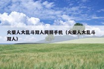 火柴人大乱斗双人同屏手机（火柴人大乱斗 双人）