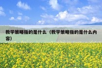 教学策略指的是什么（教学策略指的是什么内容）