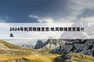 2024年机灵敏捷意思:机灵敏捷意思是什么