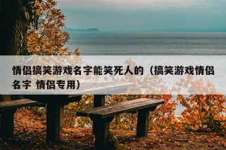 情侣搞笑游戏名字能笑死人的（搞笑游戏情侣名字 情侣专用）