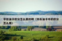 中石油卡积分怎么算的啊（中石油卡中的积分怎么用）