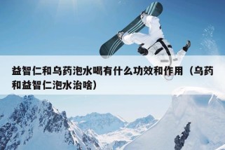 益智仁和乌药泡水喝有什么功效和作用（乌药和益智仁泡水治啥）