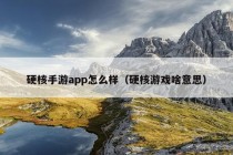 硬核手游app怎么样（硬核游戏啥意思）