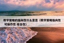 教学策略的指向性什么意思（教学策略指向性 可操作性 综合性）