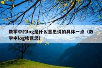 数学中的log是什么意思说的具体一点（数学中log啥意思）