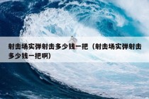 射击场实弹射击多少钱一把（射击场实弹射击多少钱一把啊）