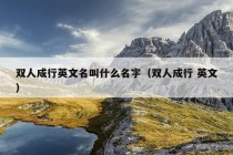 双人成行英文名叫什么名字（双人成行 英文）