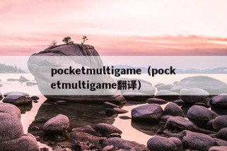 pocketmultigame（pocketmultigame翻译）