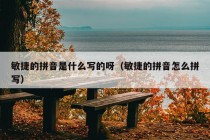 敏捷的拼音是什么写的呀（敏捷的拼音怎么拼写）