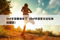 Dnf手游果体补丁（dnf手游官方论坛体验服区）