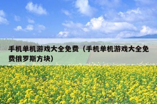 手机单机游戏大全免费（手机单机游戏大全免费俄罗斯方块）