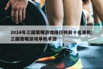 2024年三国策略游戏排行榜前十名单机:三国策略游戏单机手游