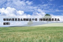 敏锐的意思怎么理解这个词（敏锐的意思怎么解释）