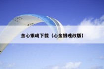 金心银魂下载（心金银魂改版）