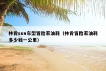 林肯suv车型冒险家油耗（林肯冒险家油耗多少钱一公里）