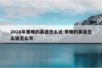 2024年策略的英语怎么说:策略的英语怎么说怎么写