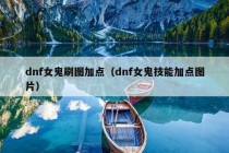 dnf女鬼刷图加点（dnf女鬼技能加点图片）