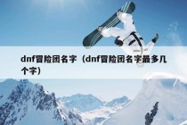 dnf冒险团名字（dnf冒险团名字最多几个字）