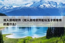 双人游戏软件（双人游戏软件能玩五子棋象棋的是什么）