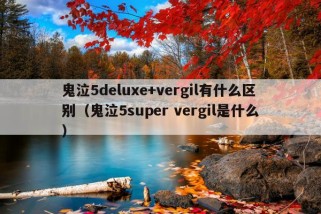 鬼泣5deluxe+vergil有什么区别（鬼泣5super vergil是什么）