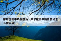 摩尔庄园牛奶鱼群汤（摩尔庄园牛奶鱼群汤怎么做火候）