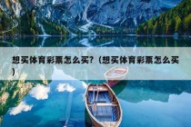 想买体育彩票怎么买?（想买体育彩票怎么买）