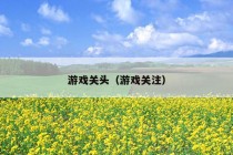 游戏关头（游戏关注）