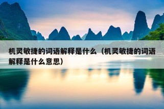 机灵敏捷的词语解释是什么（机灵敏捷的词语解释是什么意思）