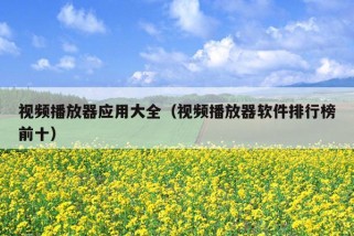 视频播放器应用大全（视频播放器软件排行榜前十）