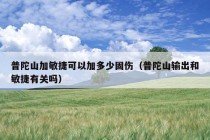 普陀山加敏捷可以加多少固伤（普陀山输出和敏捷有关吗）